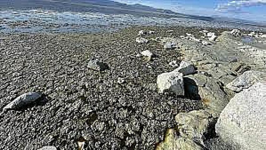 BURDUR GÖLÜ’NDE ALG PATLAMASI SUYUN RENGİNİ DEĞİŞTİRDİ