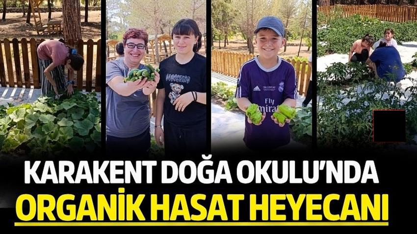 Karakent Doğa Okulu’nda Organik Hasat Heyecanı