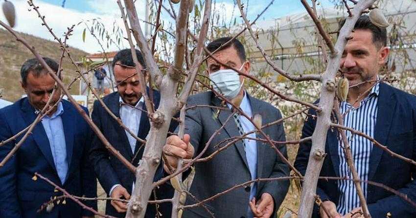 BURDUR’DA BADEM HASADI