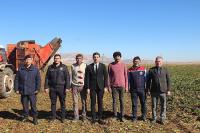 Tefenni Ovası’nda Şeker Gibi Hasat!