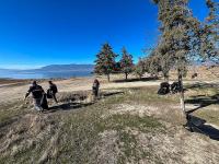 Adı Şeker Ama Manzarası Acıydı! Ekipler Müdahale Etti, Ortaya Çıkan Görüntü Şok Etti!