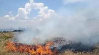 Burdur'da Kuru Otlar Tehlike Saçıyor! İtfaiye Müdürü Uyardı