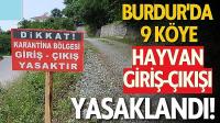 Burdur'da 9 Köye Hayvan Giriş-Çıkışı Yasaklandı!