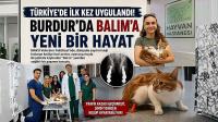 Türkiye'de İlk Kez Uygulandı! Burdur'da Balım'a Yeni Bir Hayat