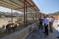 Burdur’da Sokak Hayvanları İçin Modern Yaşam Alanı Oluşturuluyor