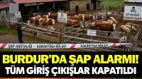 Burdur'un O Köylerinde Şap Hastalığı Nedeniyle Karantina İlan Edildi