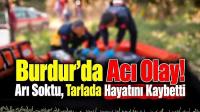 Burdur’da Acı Olay! Üzüm Toplarken Arı Soktu, Hayatını Kaybetti!..