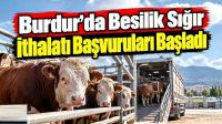 Burdur’da Besilik Sığır İthalatı Başvuruları Başladı
