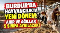 BURDUR’DA HAYVANCILIKTA YENİ DÖNEM: AHIR VE AĞILLAR 5 SINIFA AYRILACAK!