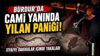 Burdur'da Cami Yanında Yılan Paniği! İtfaiye Dakikalar İçinde Yakaladı