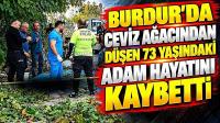 Burdur’da Ceviz Ağacından Düşen 73 Yaşındaki Adam Hayatını Kaybetti
