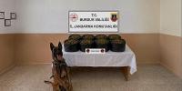 JANDARMA EKİPLERİNDEN NARKOTİK SUÇLARLA MÜCADELE FAALİYETLERİ