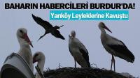 Baharın Habercileri Burdur'da! Yarıköy Leyleklerine Kavuştu