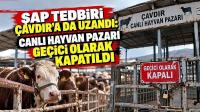 Şap Tedbiri Çavdır’a da Uzandı: Canlı Hayvan Pazarı Geçici Olarak Kapatıldı