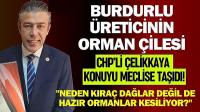 Burdurlu Üreticinin Orman Çilesi: CHP’li Çelikkaya Konuyu Meclise Taşıdı!