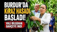 Burdur'da Kiraz Hasadı Başladı! Vali Bilgihan Bahçeye İndi