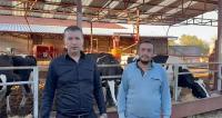 Şap Hastalığı, Zamlar, Düşen Et Fiyatı… Burdur'da Besiciler Zor Günler Geçiriyor!