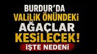 Burdur’da Valilik Önündeki Ağaçlar Kesilecek! İşte Nedeni
