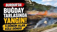 Burdur'da Buğday Tarlasında Yangın! 5 Dönüm Alan Küle Döndü