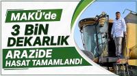 MAKÜ'de 3 bin dekarlık arazide hasat tamamlandı