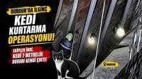 Burdur’da İlginç Kedi Kurtarma Operasyonu: Ekipler İndi, Kedi 7 Metrelik Duvarı Kendi Çıktı