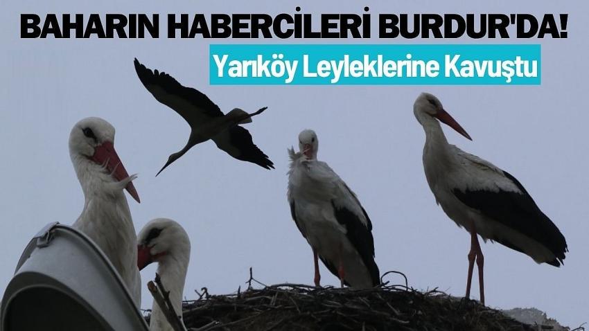 Baharın Habercileri Burdur