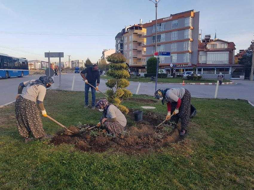 Burdur'da Mevsimlik çiçek dikimi başladı