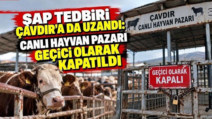 Şap Tedbiri Çavdır’a da Uzandı: Canlı Hayvan Pazarı Geçici Olarak Kapatıldı