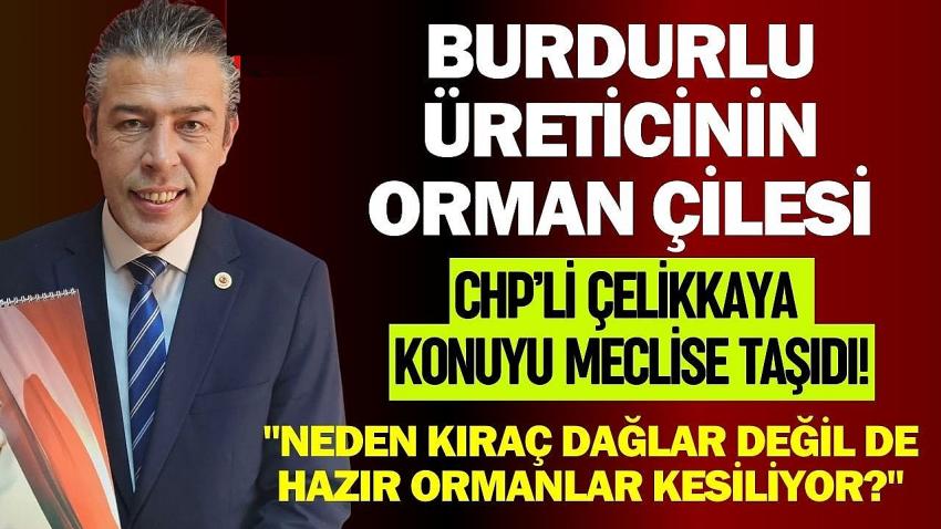 Burdurlu Üreticinin Orman Çilesi: CHP’li Çelikkaya Konuyu Meclise Taşıdı!