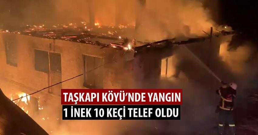 TAŞKAPI’DA YANGIN!