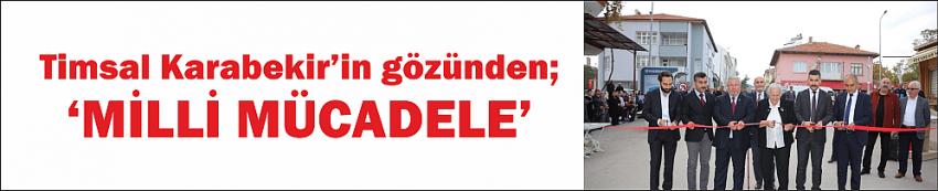 Timsal Karabekir’in gözünden; ‘MİLLİ MÜCADELE’