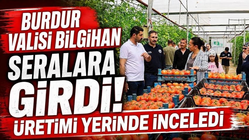 Burdur Valisi Bilgihan Seralara Girdi! Üretimi Yerinde İnceledi