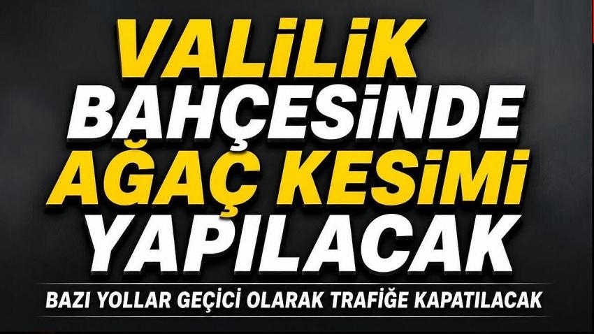 Burdur Valiliği’nde Ağaç Kesimi Yapılacak: Bazı Yollar Trafiğe Kapanacak