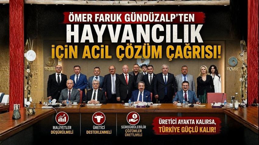 Hayvancılık Alarm Veriyor: Gündüzalp TOBB’da Kritik Uyarıları Sıraladı!