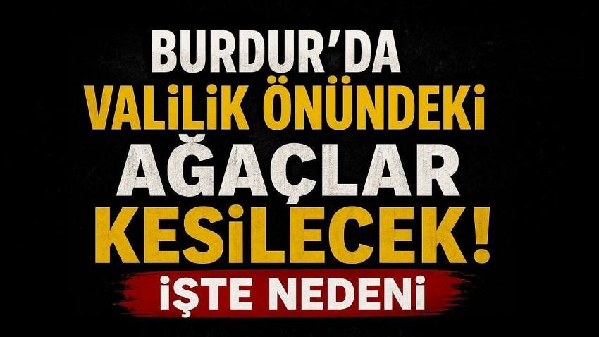 Burdur’da Valilik Önündeki Ağaçlar Kesilecek! İşte Nedeni