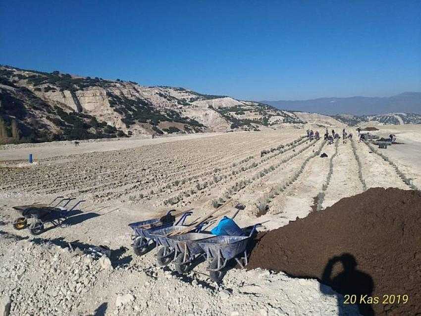 Çöplük Artık Lavanta Kokacak