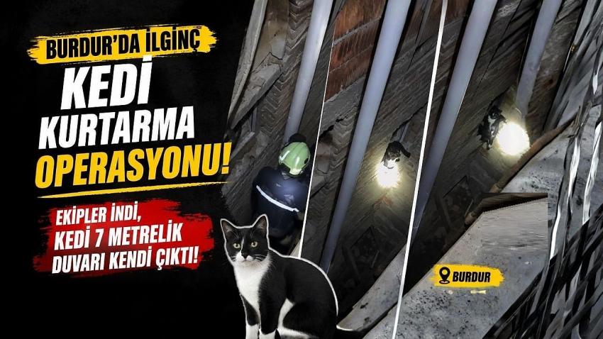 Burdur’da İlginç Kedi Kurtarma Operasyonu: Ekipler İndi, Kedi 7 Metrelik Duvarı Kendi Çıktı